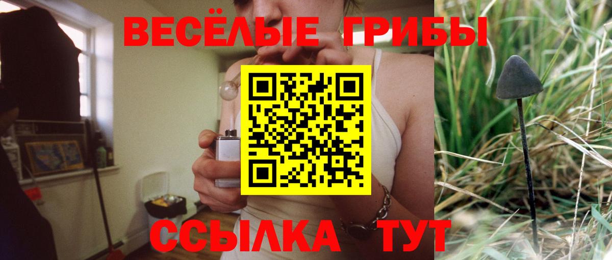 Лабинск  Галлюциногенные грибы Magic Shrooms  Вход с VPN  Галлюциногенные грибы GOLDEN TEACHER 